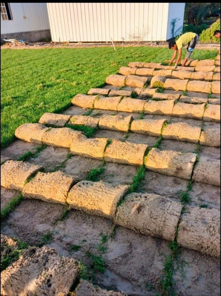 Grass Installation Service