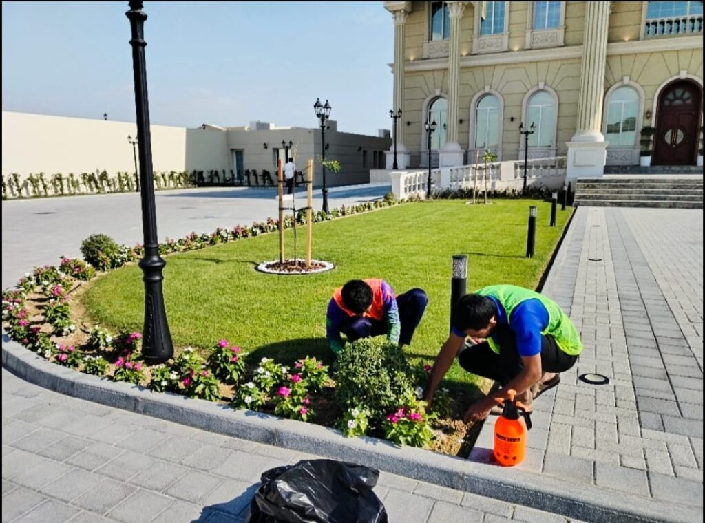 Transform Your Outdoor Space with Expert Gardening Maintenance in Doha