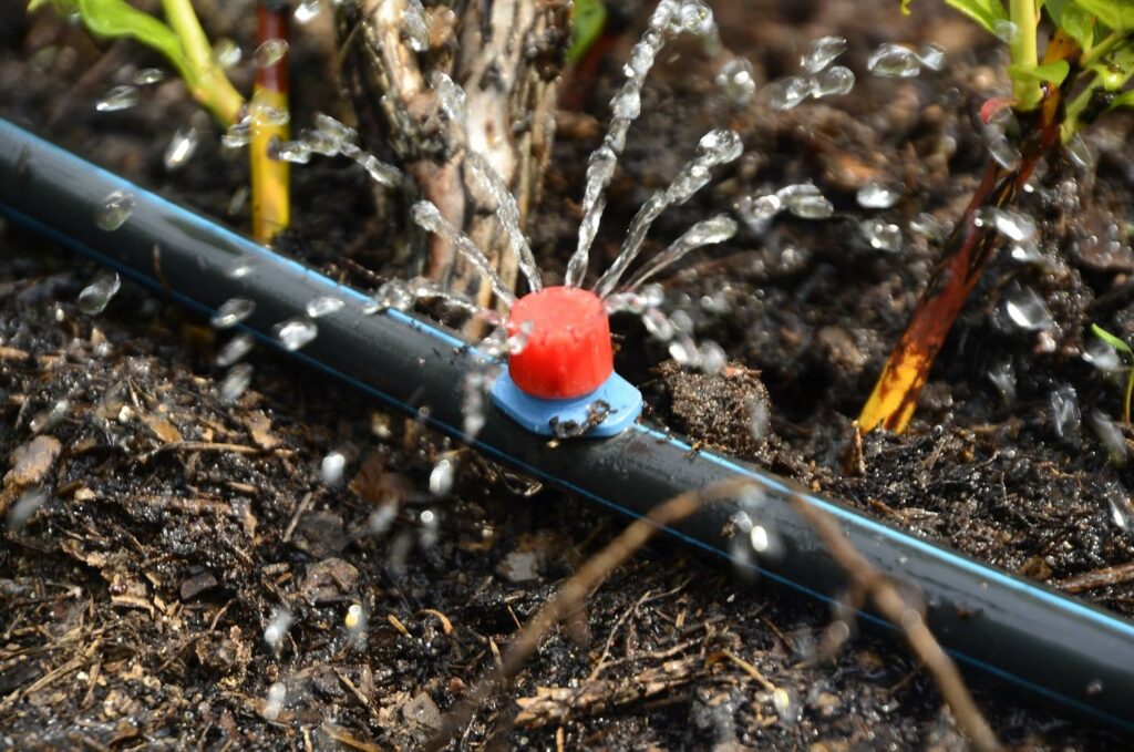Efficient Irrigation Systems for Beautiful Gardens in Doha